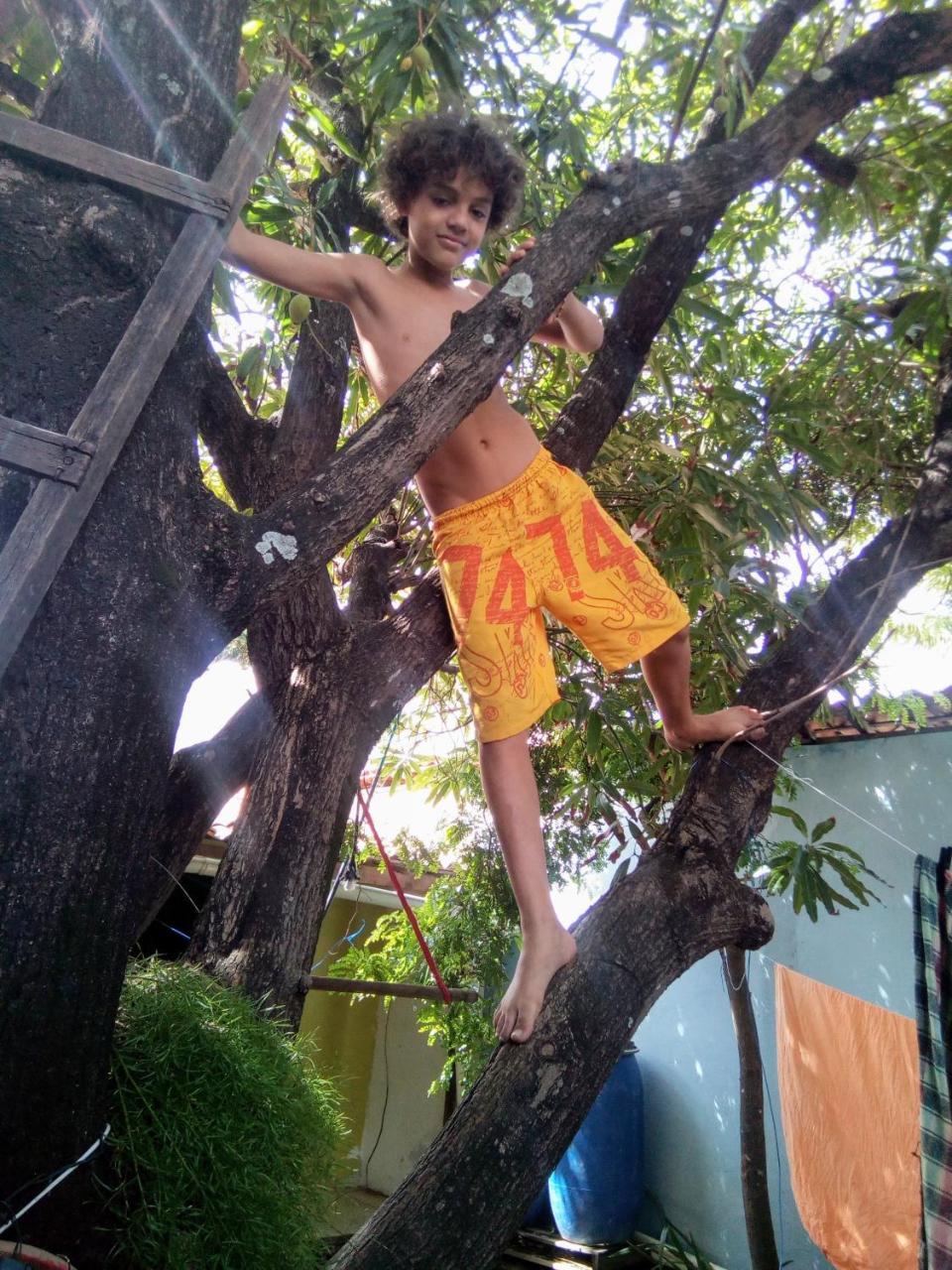 Samsara Eco Vegano * Aracaju