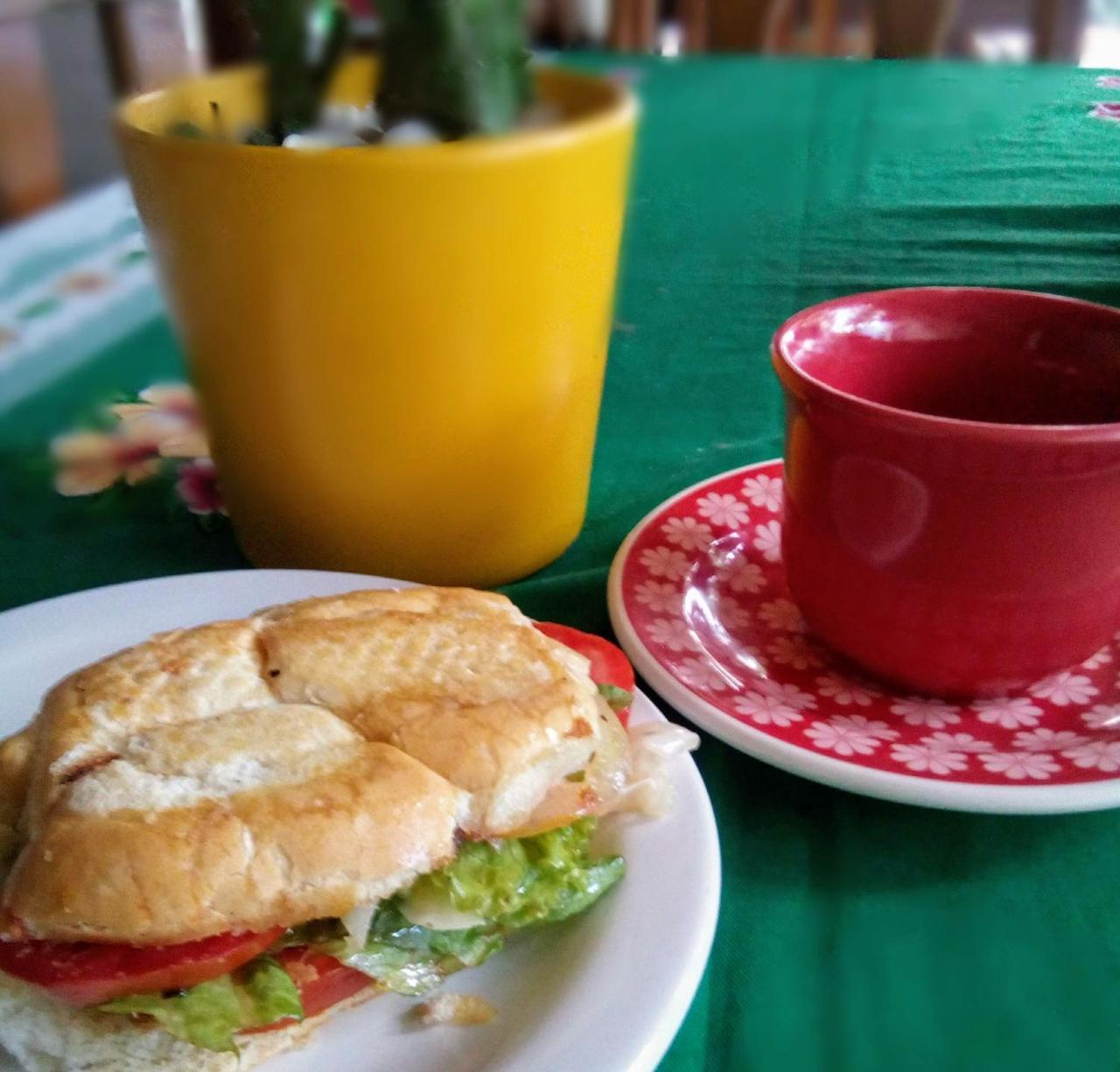 Albergue Samsara Eco Vegano Aracaju