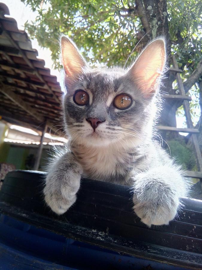 Samsara Eco Vegano * Aracaju